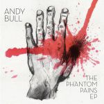 andy bull